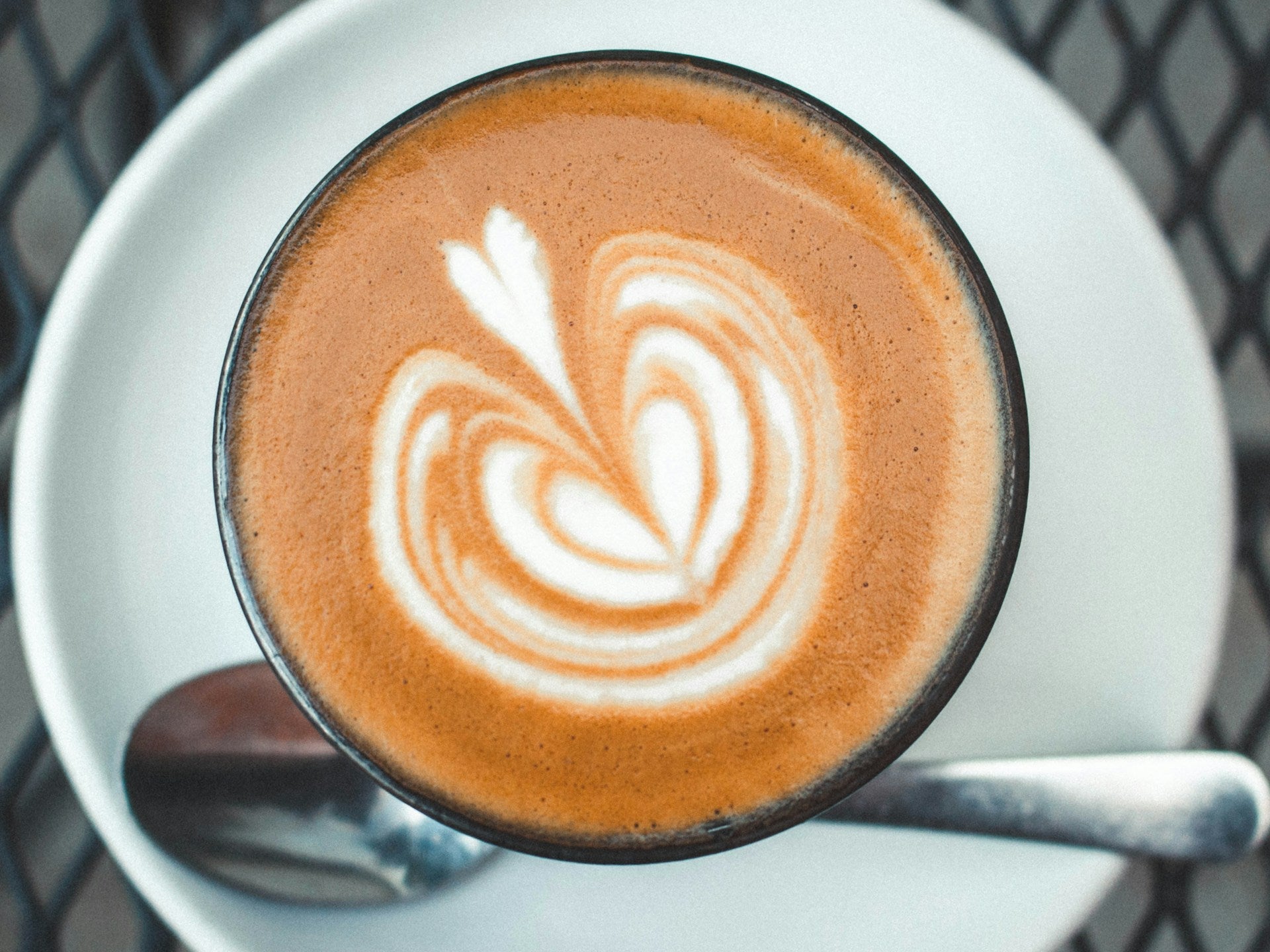 Cortado vs Cappuccino: Welches Getränk ist besser für Sie?