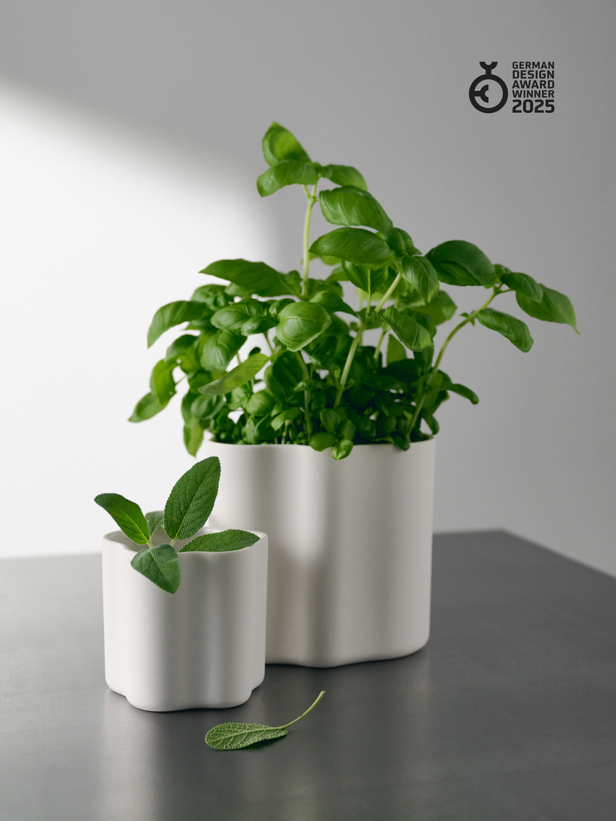 Cloud Jar small, white, set of 3