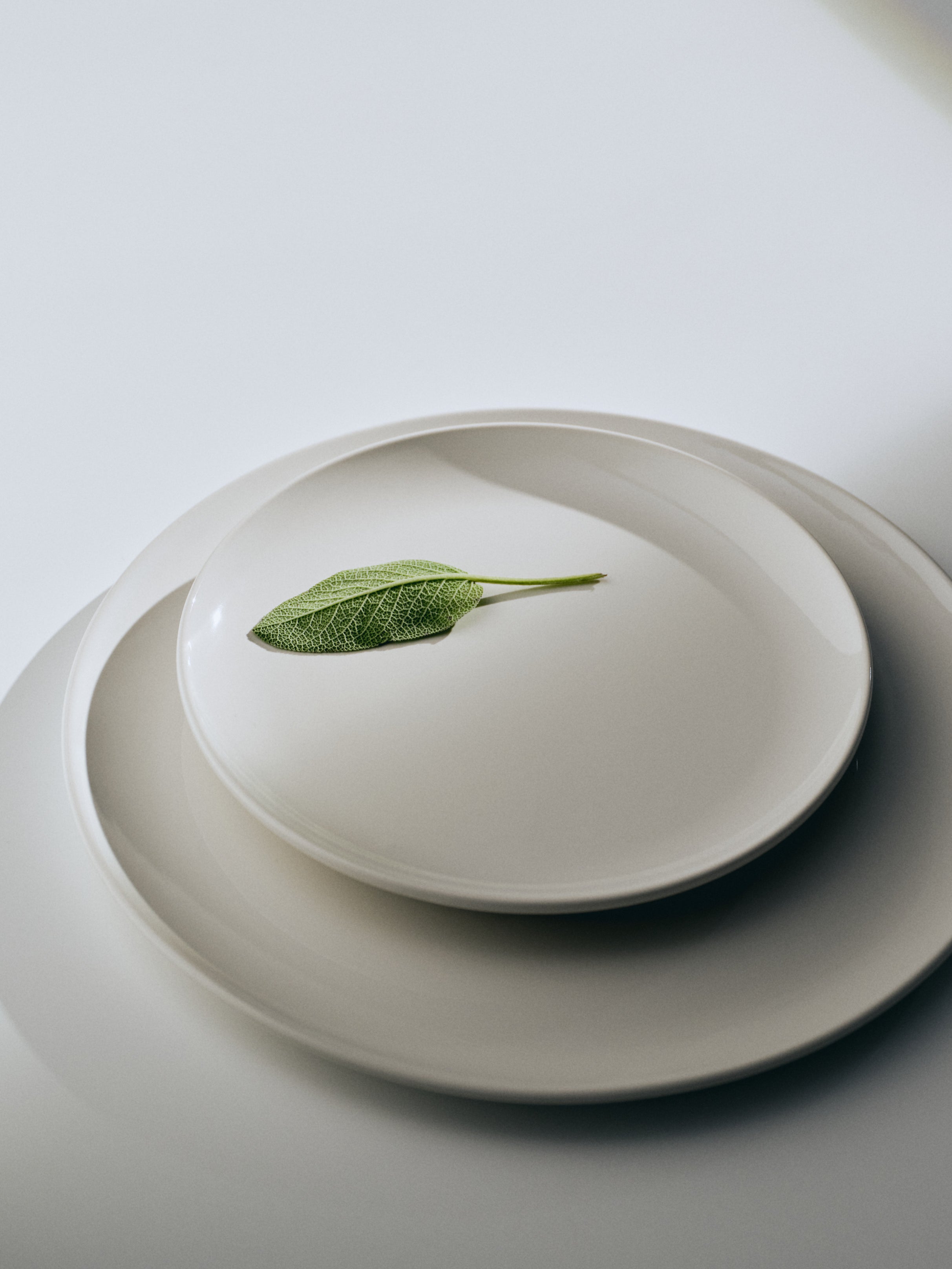 Big Plate