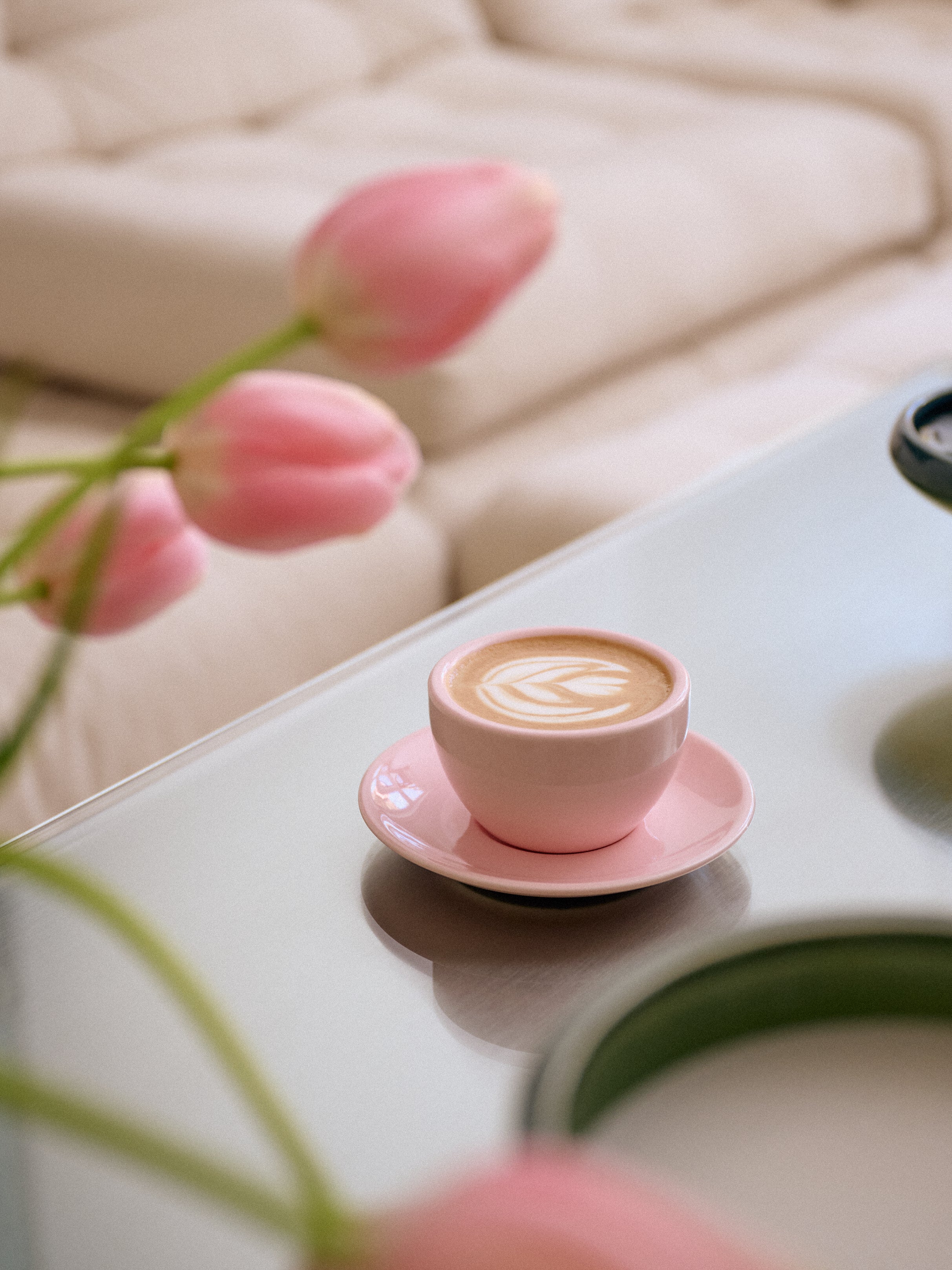 Cappuccino, milky pink, set of 2