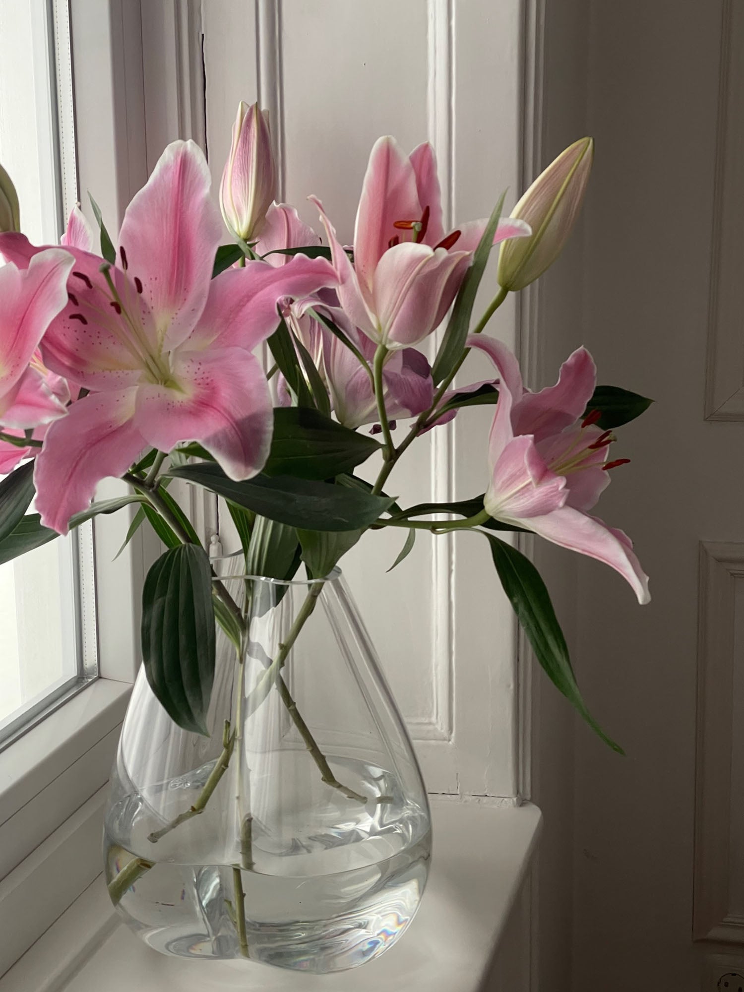 Tulip Vase, clear
