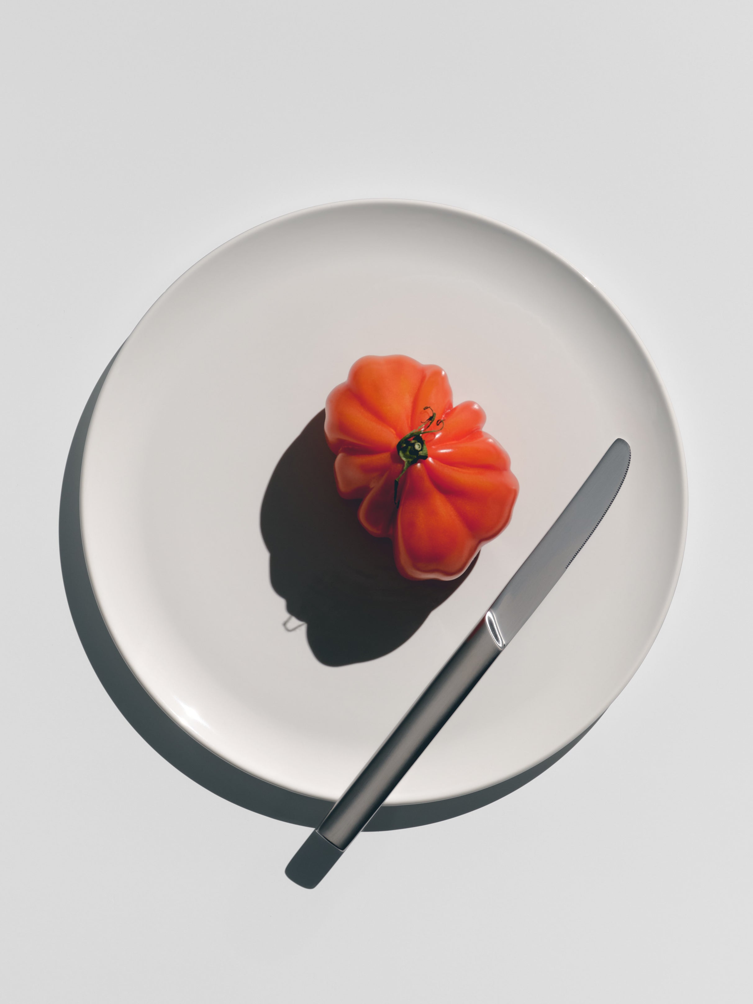 Big Plate